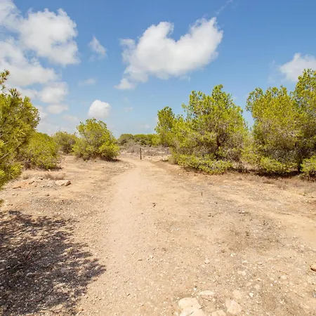 Appartement Pet Friendly In *