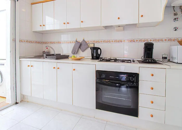 Pet Friendly In Appartement