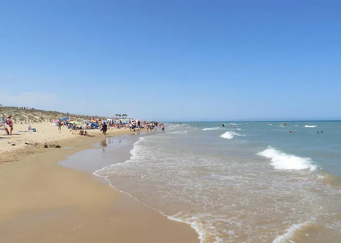 Appartement Pet Friendly In