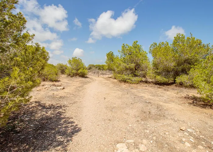 Appartement Pet Friendly In *