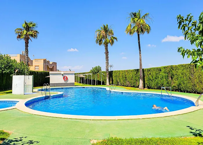 Pet Friendly In Torrevieja