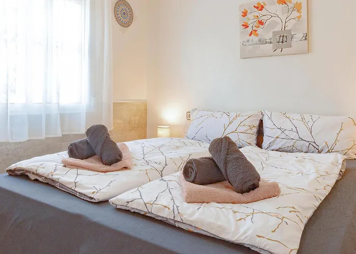 Pet Friendly In Appartement