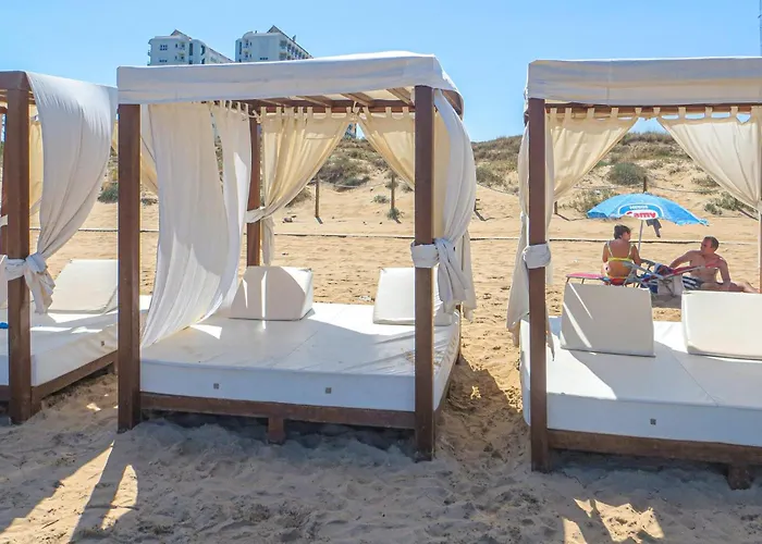 Appartement Pet Friendly In *