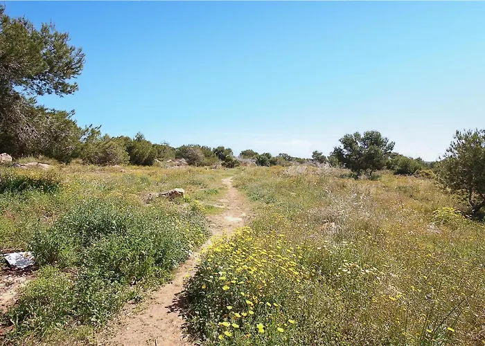 Pet Friendly In Appartement Torrevieja