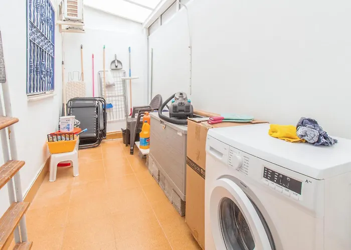 Pet Friendly In Appartement *