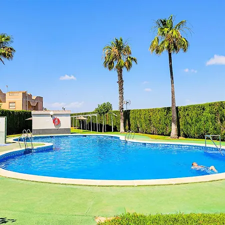 Pet Friendly In Torrevieja