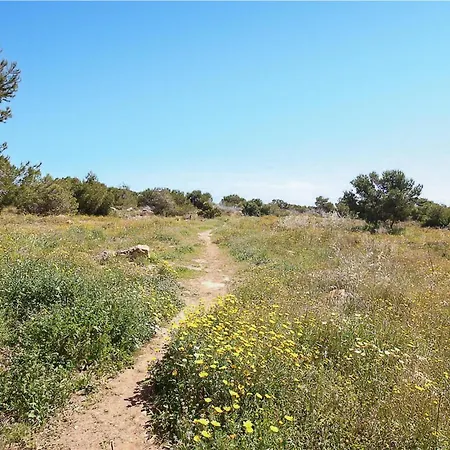 Pet Friendly In Lägenhet Torrevieja