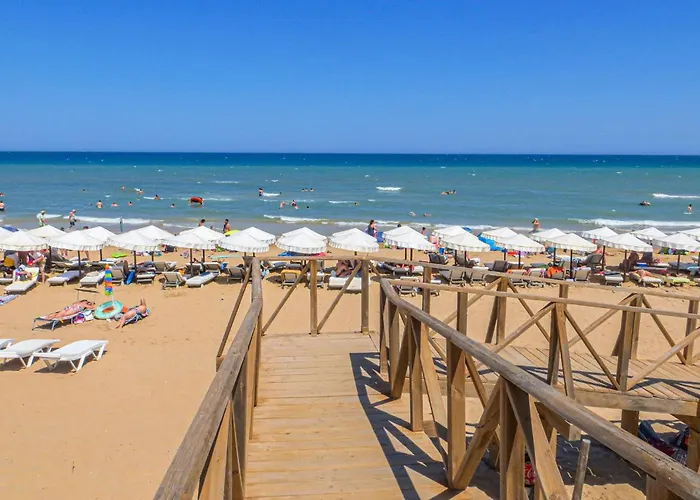 Daire Pet Friendly In Torrevieja