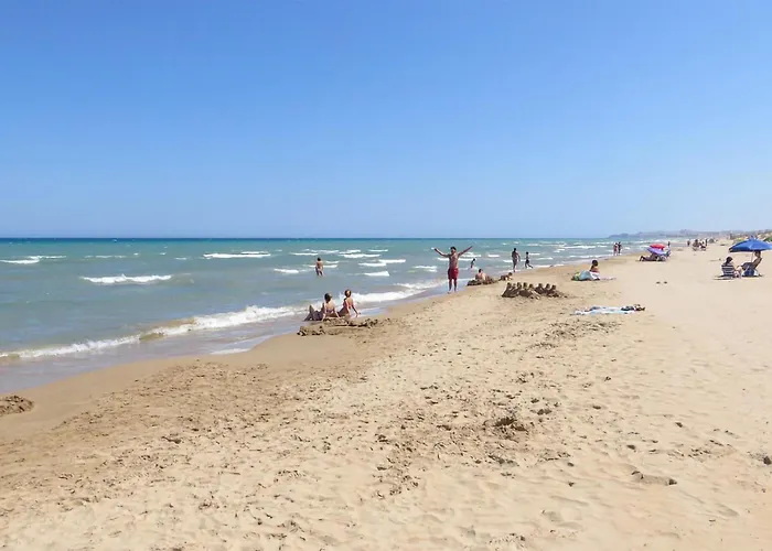 Pet Friendly In Daire *