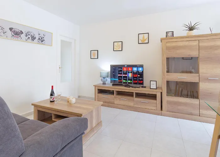 Daire Pet Friendly In Torrevieja